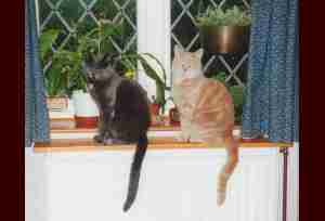 [IMAGE] Dennis and Oliver