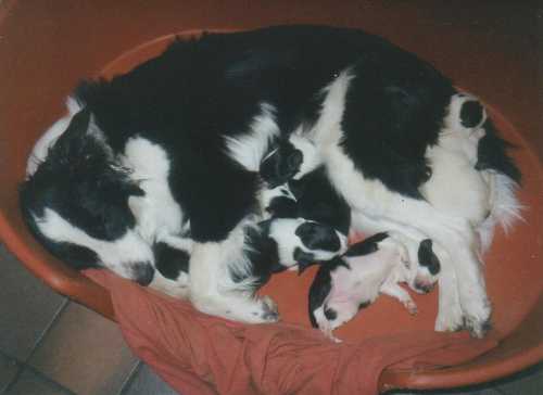 [IMAGE] Feeding time