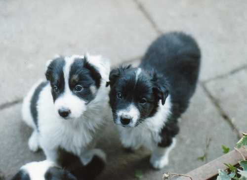 [IMAGE] Ooh, look you guys.